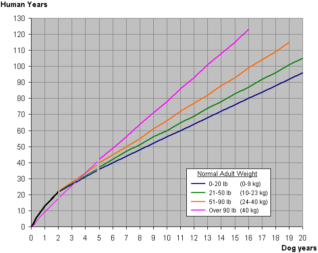 ProPoints Plan 360